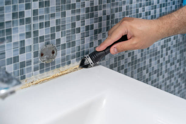 Best Emergency Mold Remediation in Cottage Grove, WI